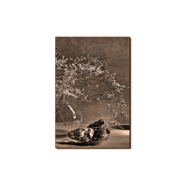 Obraz na plátně - Zátiší - větev a granátové jablko - obdélník
